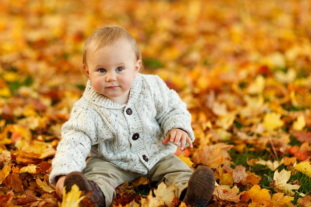 mały chłopiec w parku jesienią 