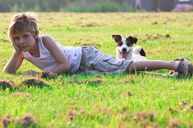 Chłopiec z psem na trawie