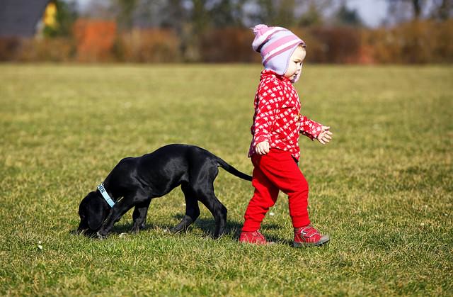 Dziecko z psem na trawie