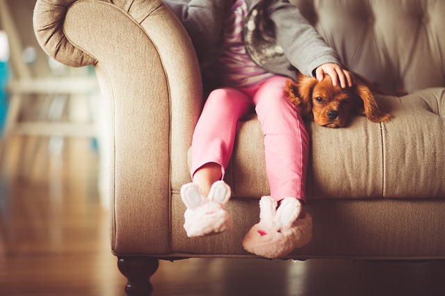 Dziewczynka z psem na kanapie